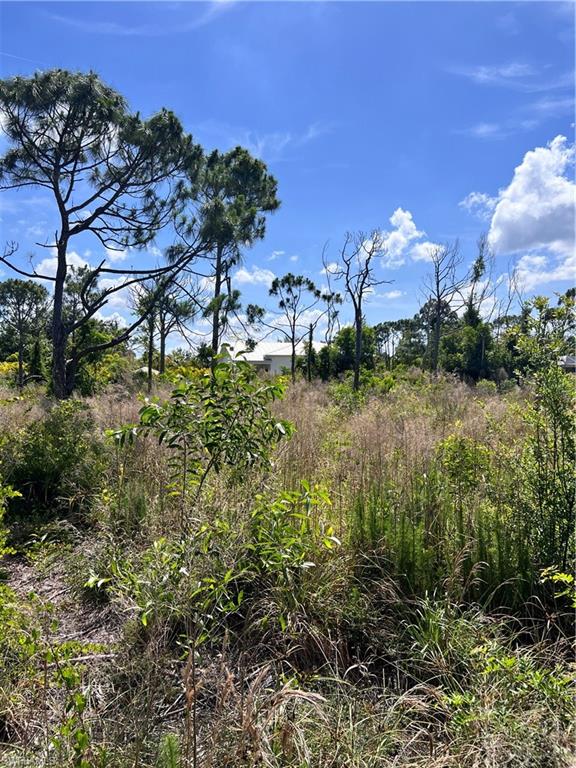 8756 Nome Ct Property Photo 4