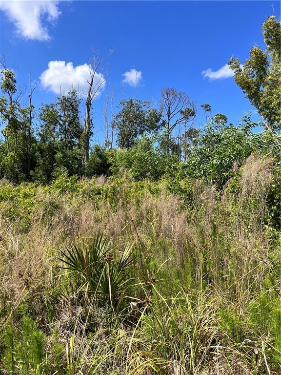 8756 Nome Ct Property Photo 5