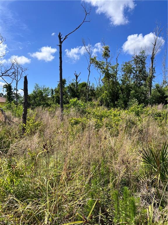 8756 Nome Ct Property Photo 6