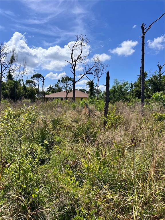 8756 Nome Ct Property Photo 7