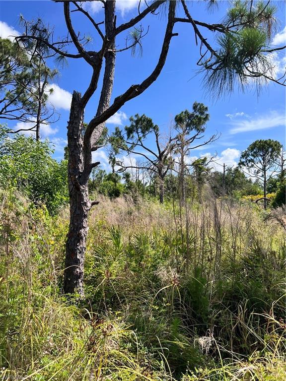 8756 Nome Ct Property Photo 8