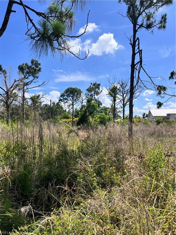 8756 Nome Ct Property Photo 9