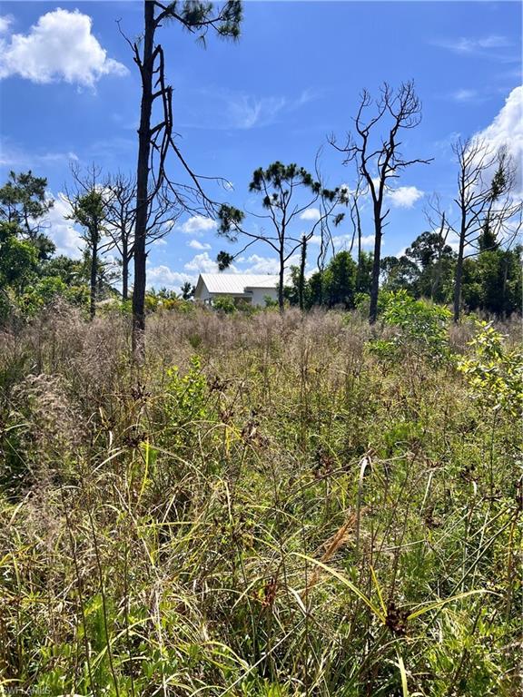 8756 Nome Ct Property Photo 10