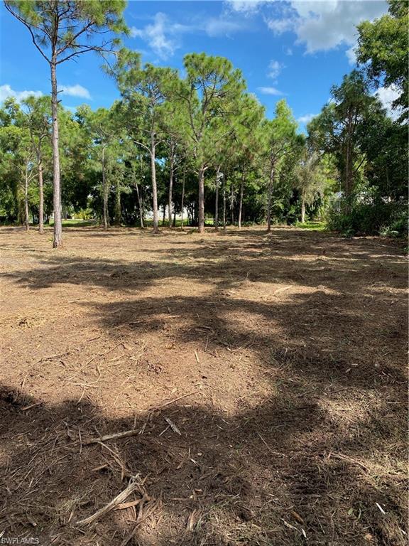 8756 Nome Ct Property Photo 12