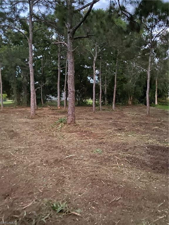 8756 Nome Ct Property Photo 13