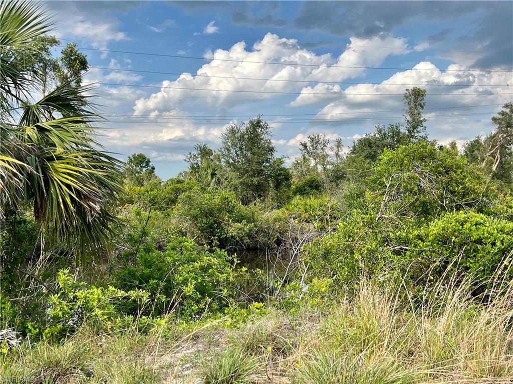 27430 San Marco Dr Property Photo 2