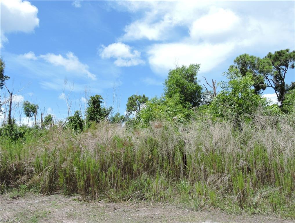11801 Oscoda Ct Property Photo 2