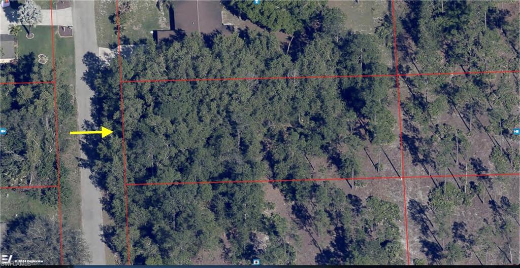216 Leroy Ave Property Photo 2