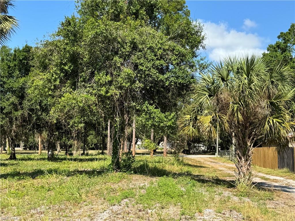 0 Magnolia Ave Property Photo 4