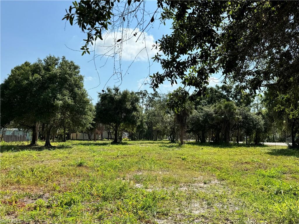 0 Magnolia Ave Property Photo 6
