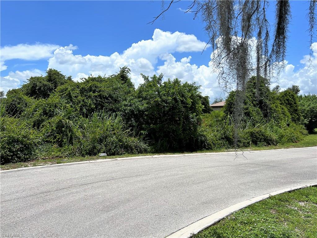 2109 Scrub Olive Ct Property Photo 5