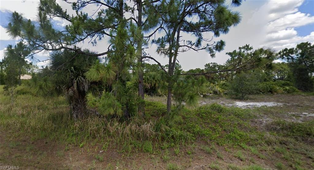 1125 Crocus St Property Photo 1