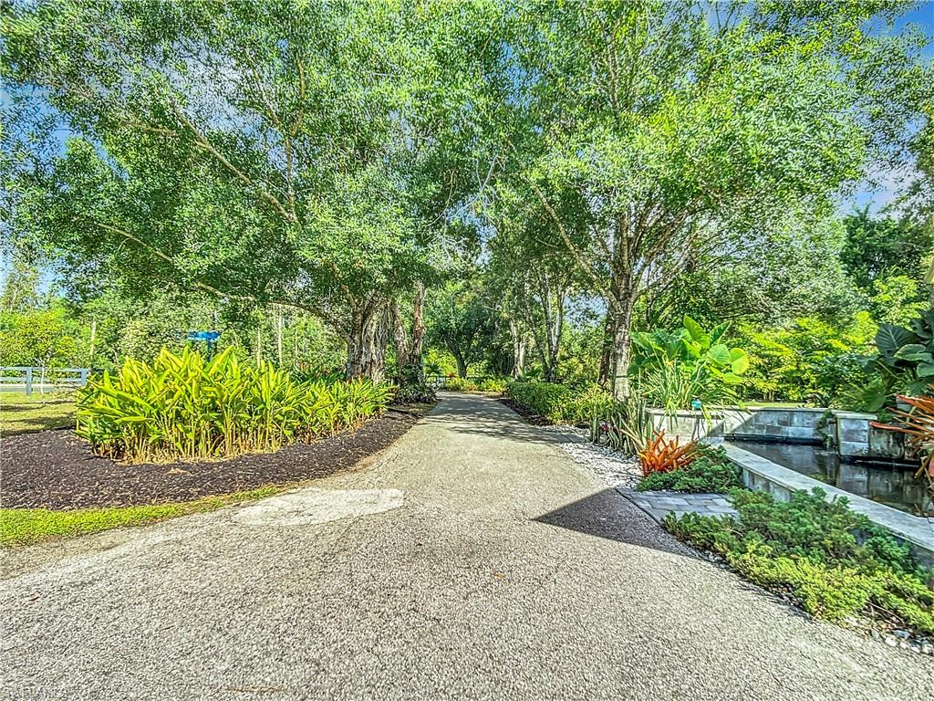15711 Anderson Ln Property Photo 3