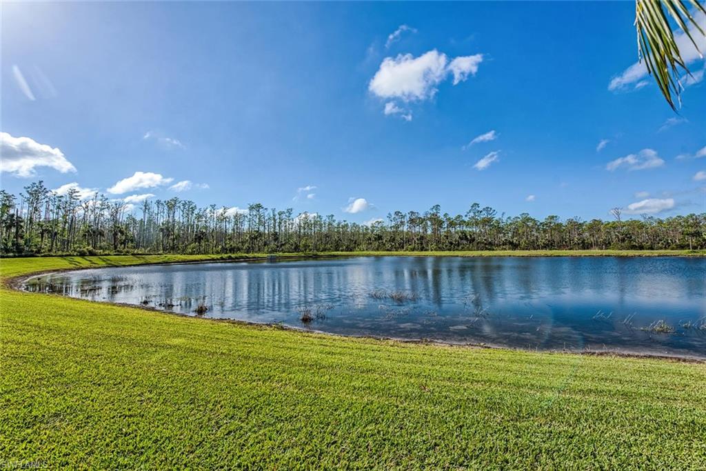 9723 Acqua Ct # 334 Property Photo 28