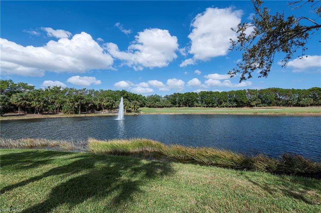 9921 Isola Way Property Photo 36