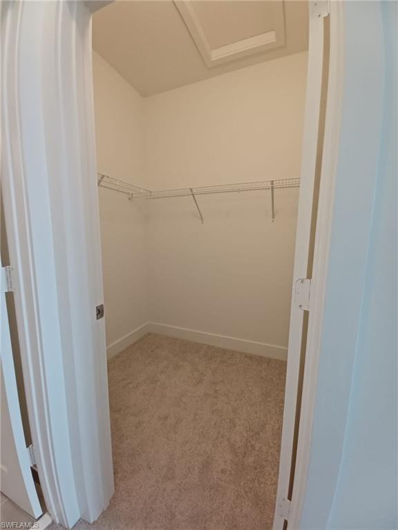 5546 Agostino Way Property Photo 20
