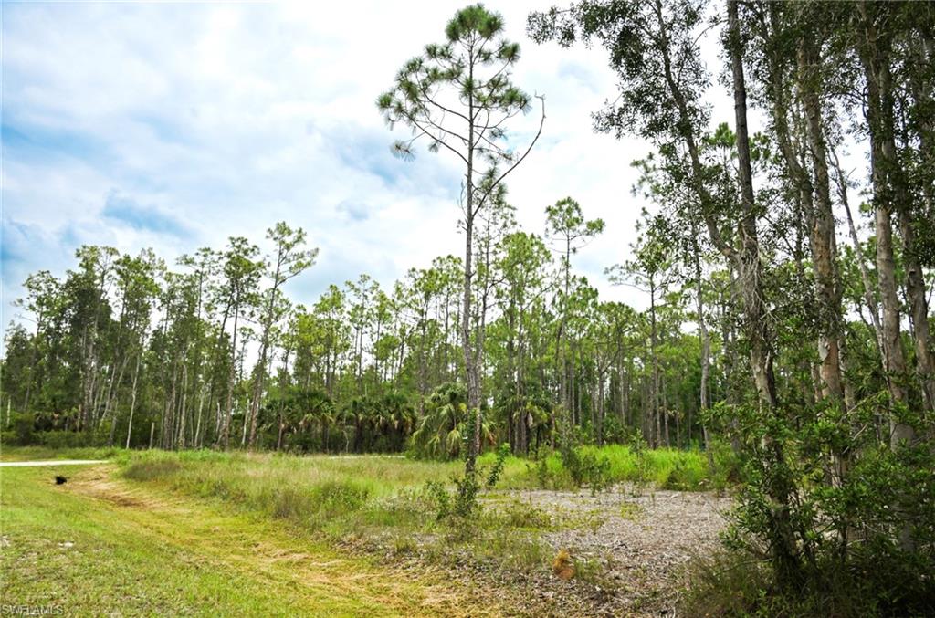 24443 Rocky Rd Property Photo 3