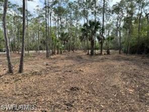 24443 Rocky Rd Property Photo 1