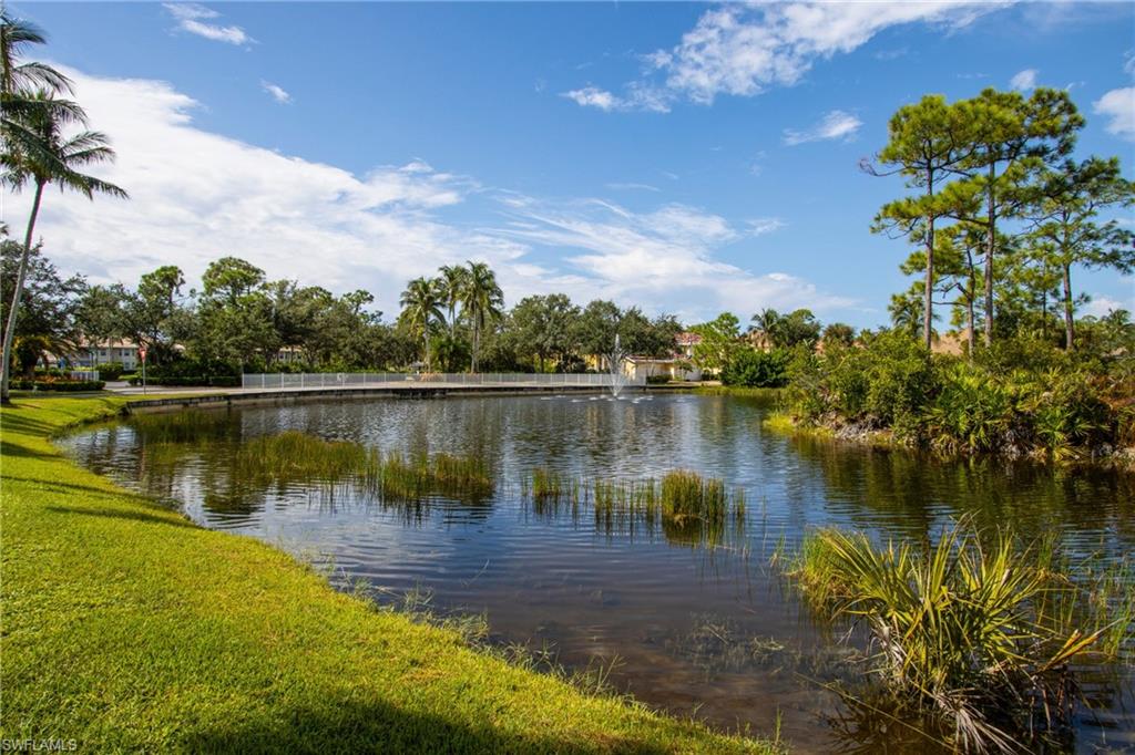 23234 Coconut Shores Dr Property Photo 27