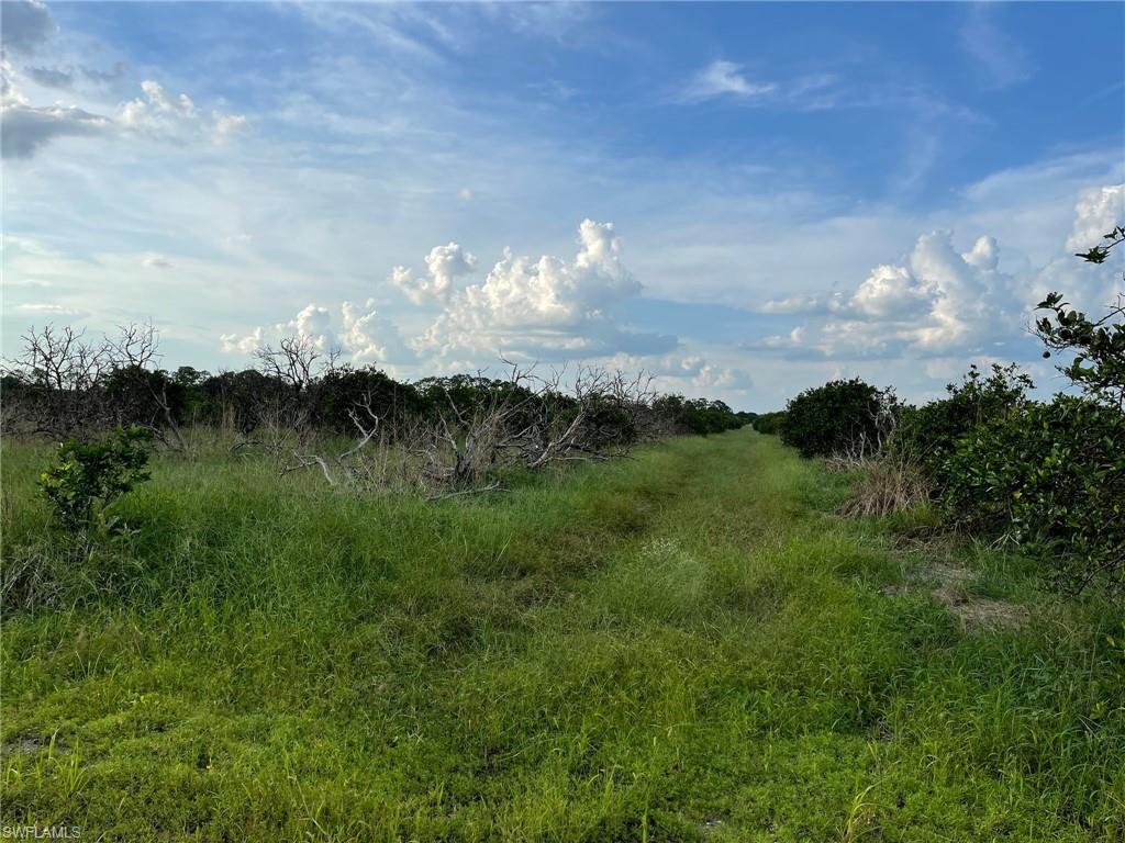 6th Rd Property Photo 9