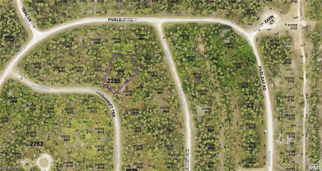 1127225819 Snowdrift Ter Property Photo 2