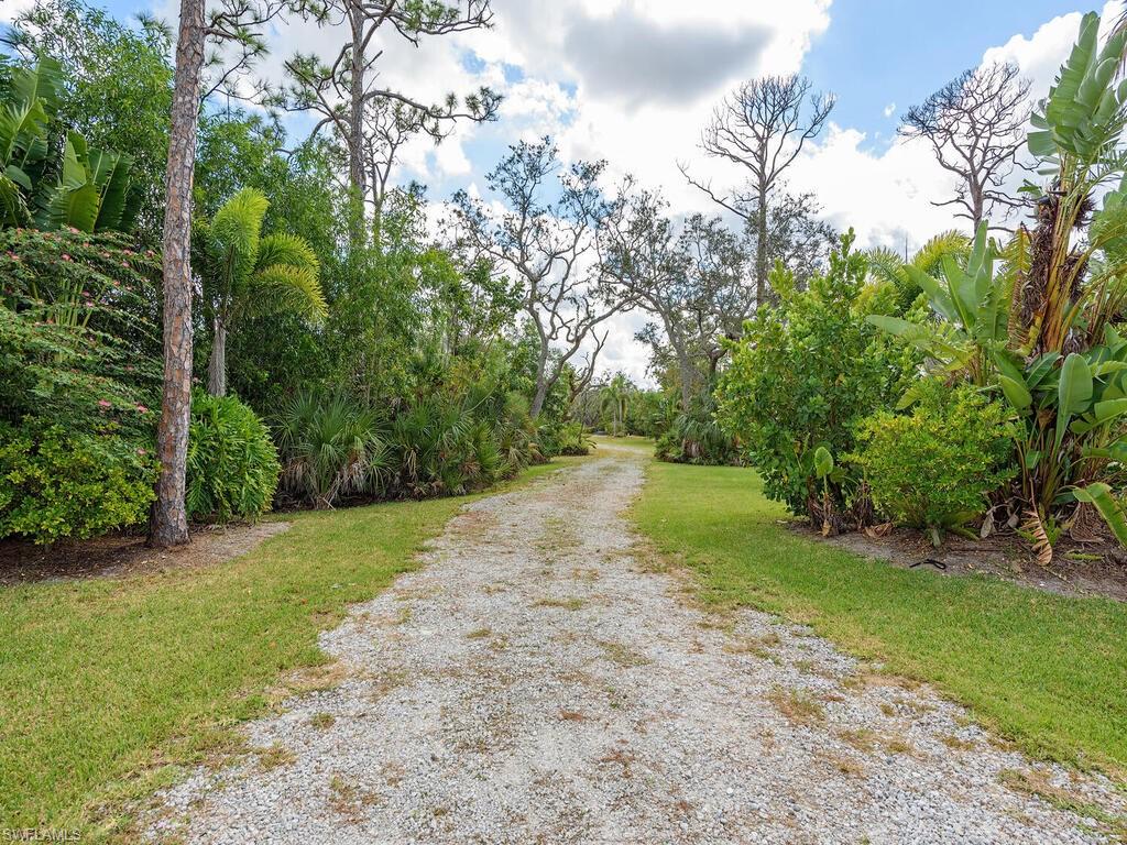 20684 Charing Cross Cir Property Photo 6