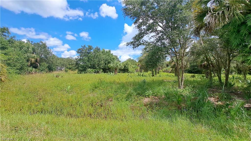 1238 Anvil Way Property Photo 1