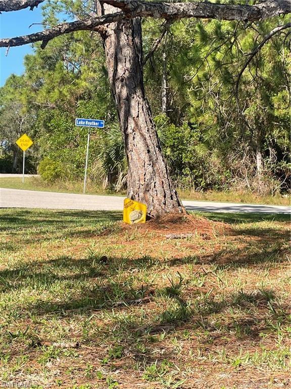 4420 Lake Heather Cir Property Photo 2