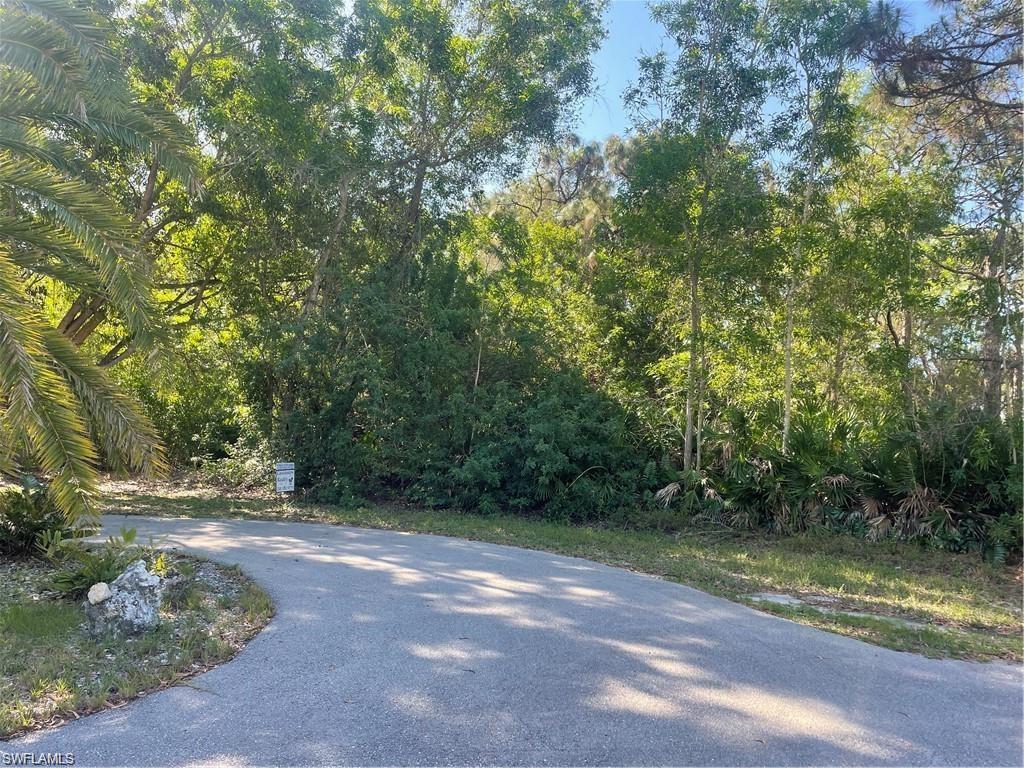 4420 Lake Heather Cir Property Photo 4