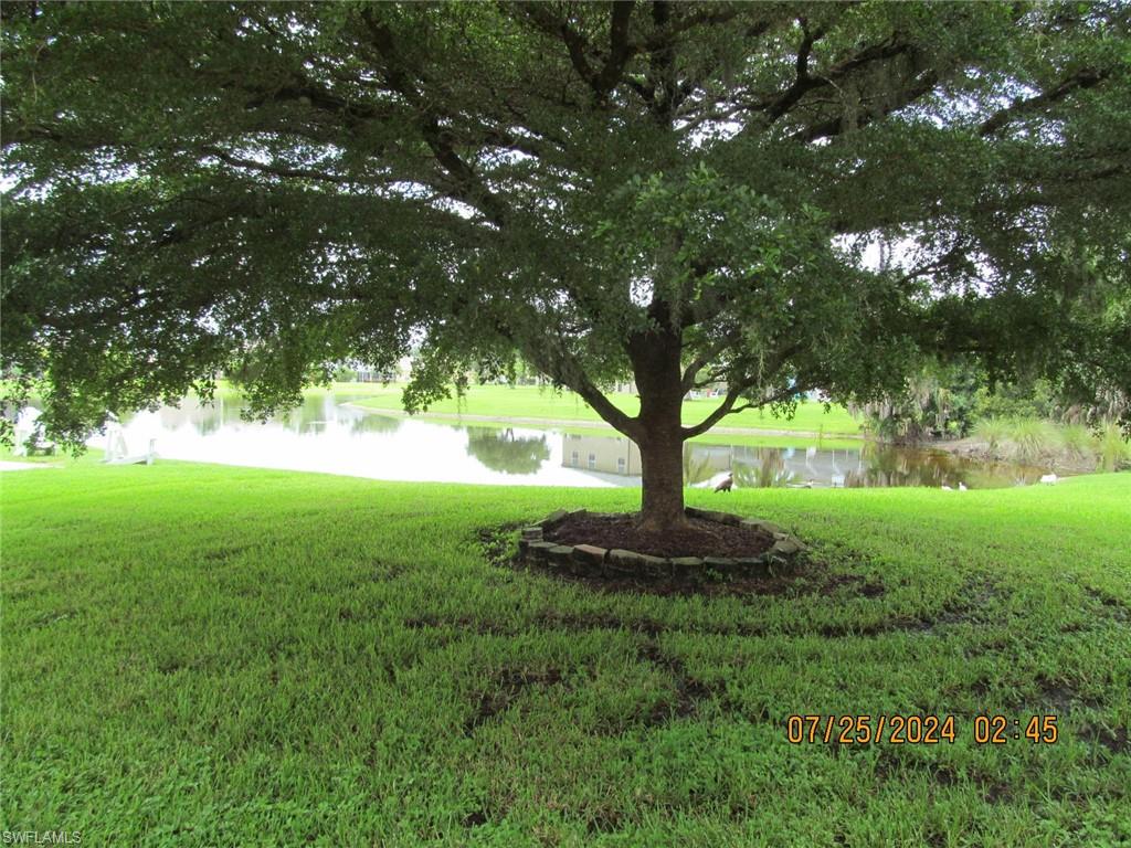 13520 Cypress Head Dr Property Photo 3