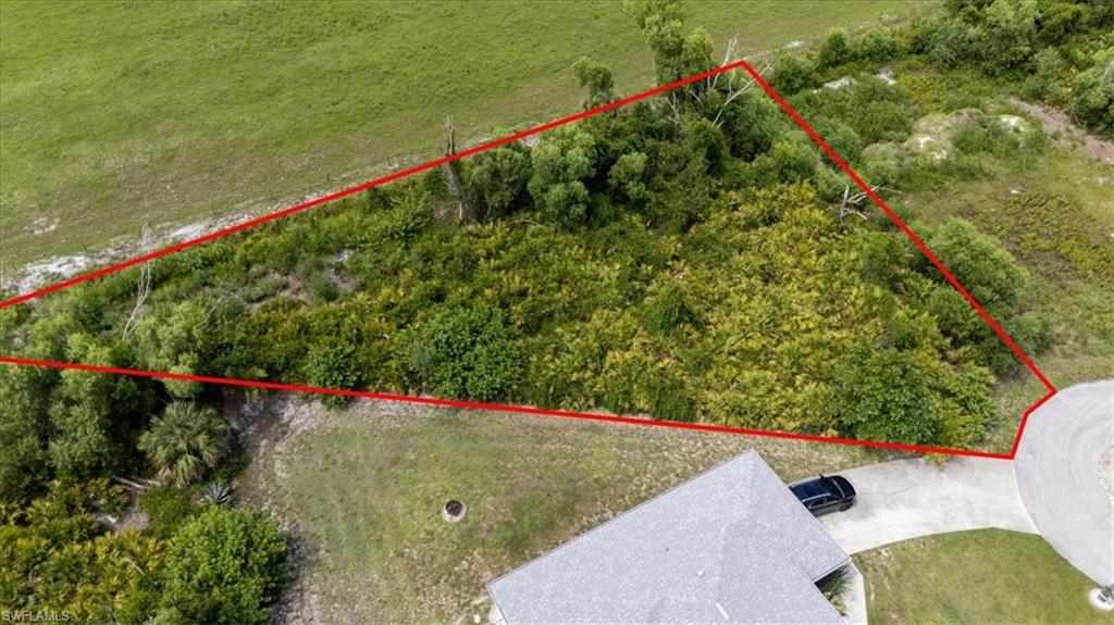 4487 Pine Hill Ct Property Photo 3