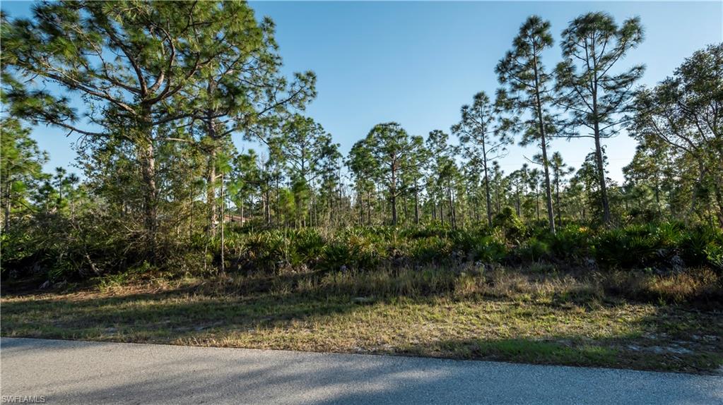 27373 Senator Dr Property Photo 3