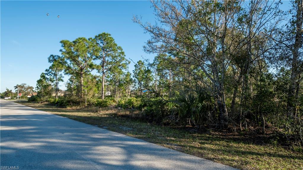 27373 Senator Dr Property Photo 4