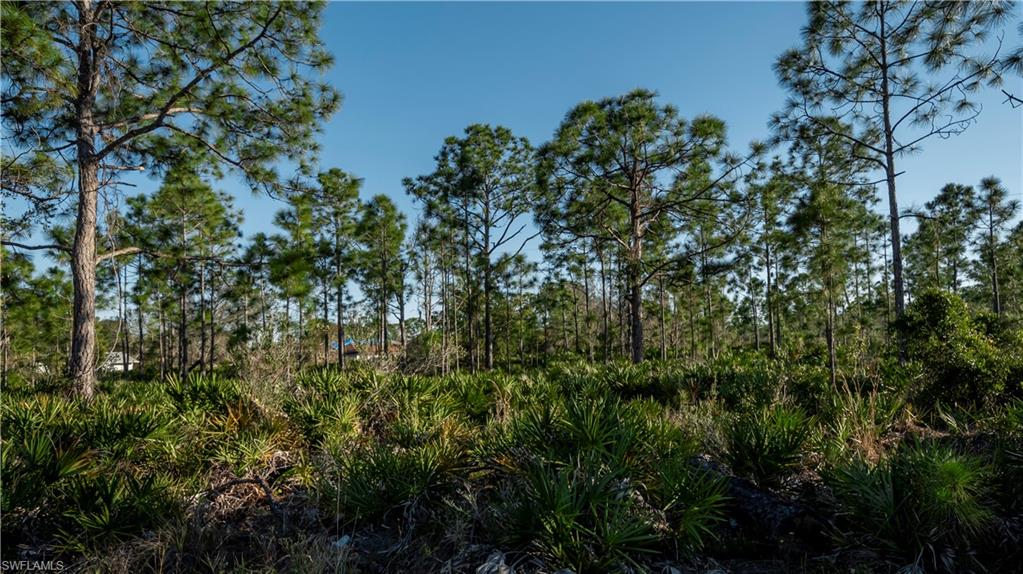 27373 Senator Dr Property Photo 9