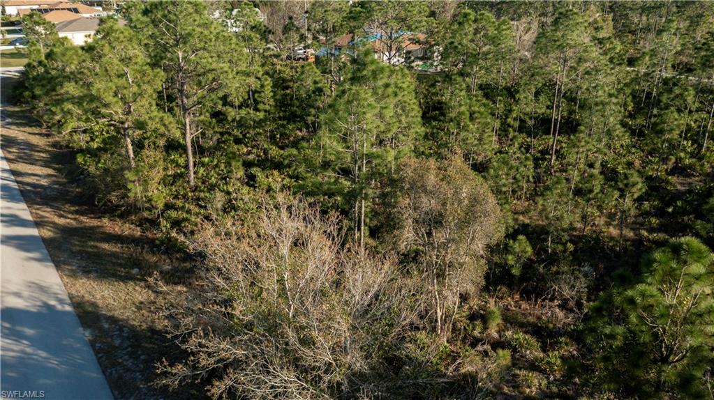27373 Senator Dr Property Photo 15