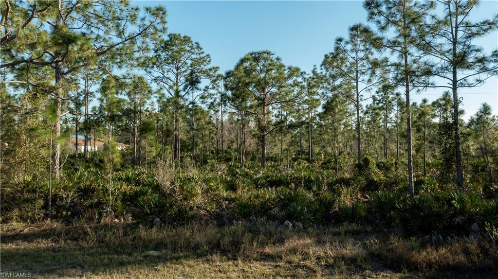 27373 Senator Dr Property Photo 16