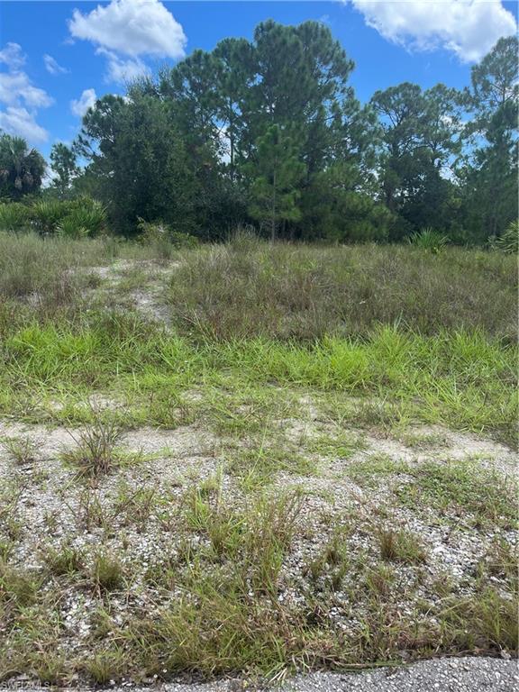 706 Abbott Ave Property Photo 2