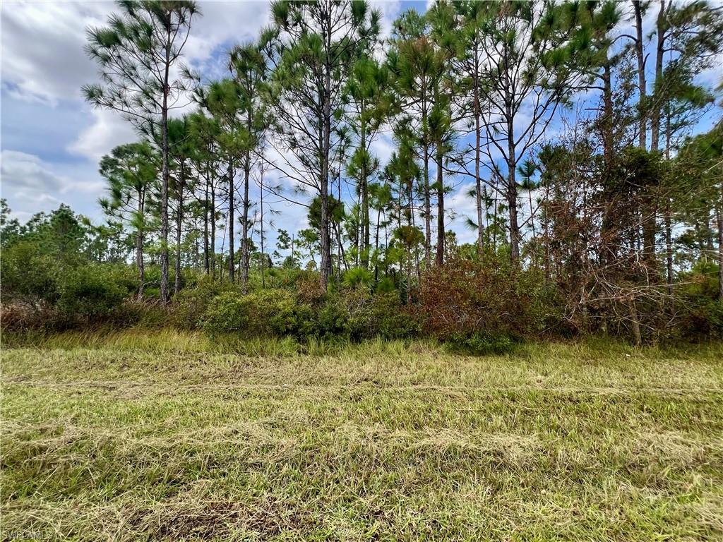 451 Fellenz St Property Photo 1