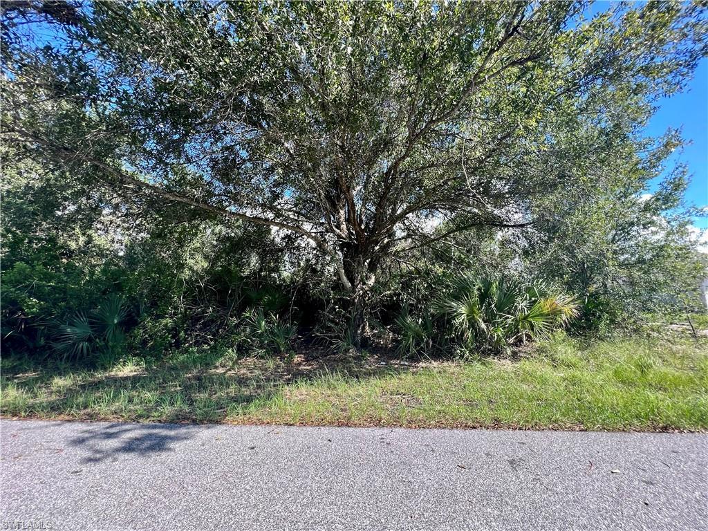 5542 Eyerly Ter Property Photo 3