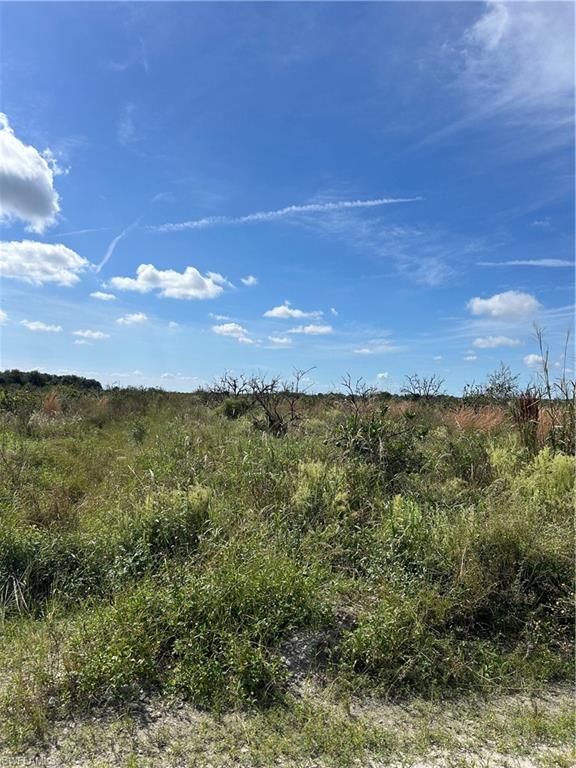 Sears Road Property Photo 3