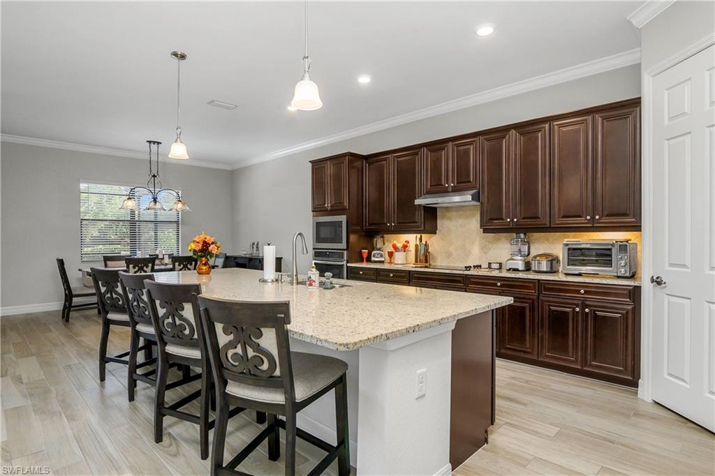 10925 Pistoia Dr Property Photo 16