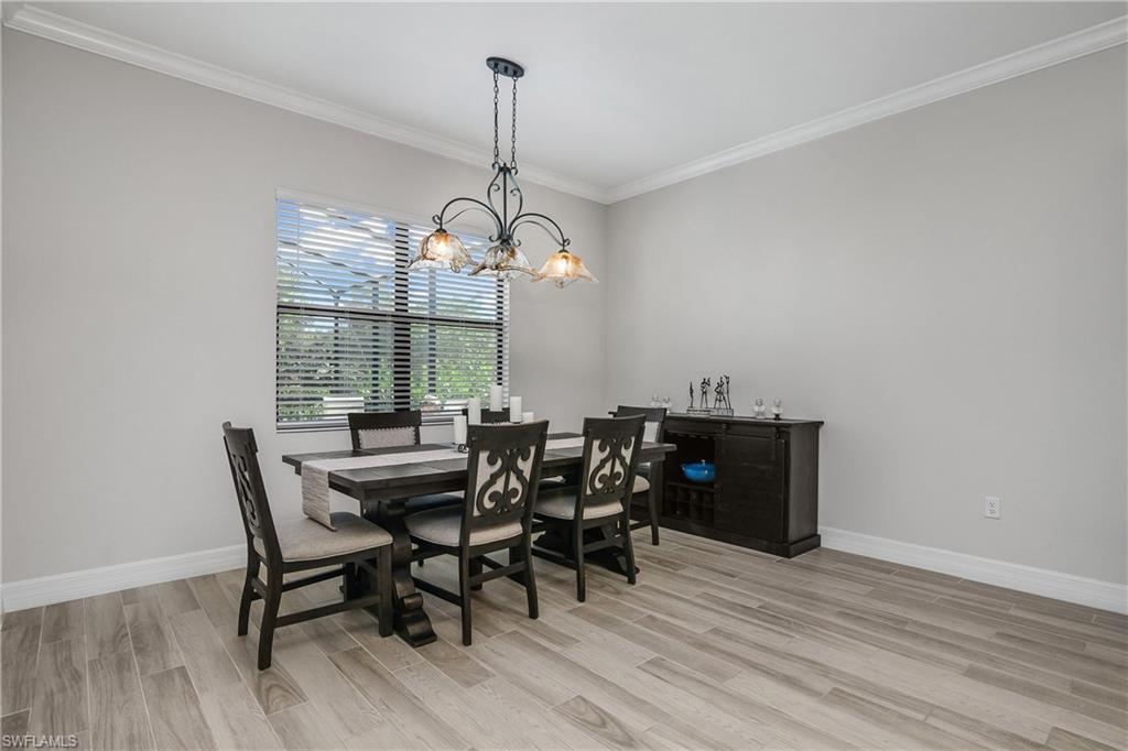 10925 Pistoia Dr Property Photo 18