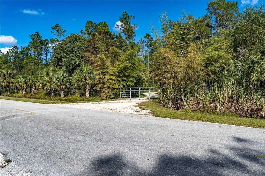 1065 Sanctuary Rd Property Photo 6