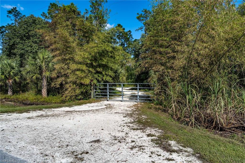 1065 Sanctuary Rd Property Photo 8