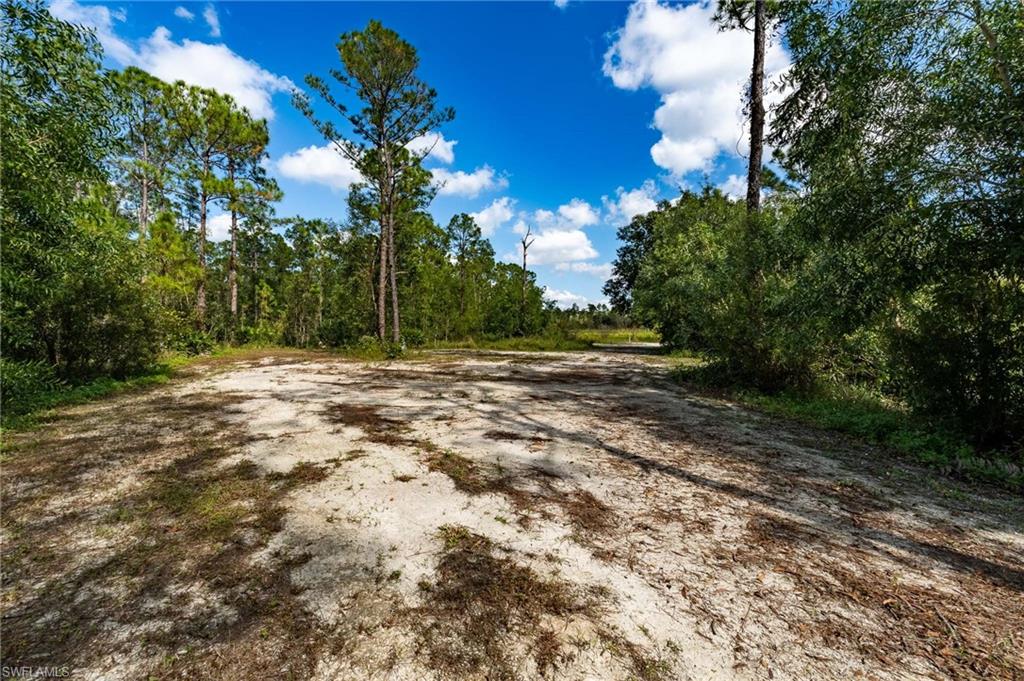 1065 Sanctuary Rd Property Photo 12