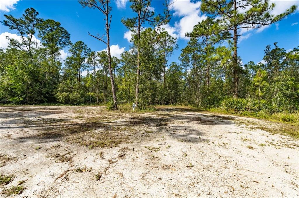1065 Sanctuary Rd Property Photo 19