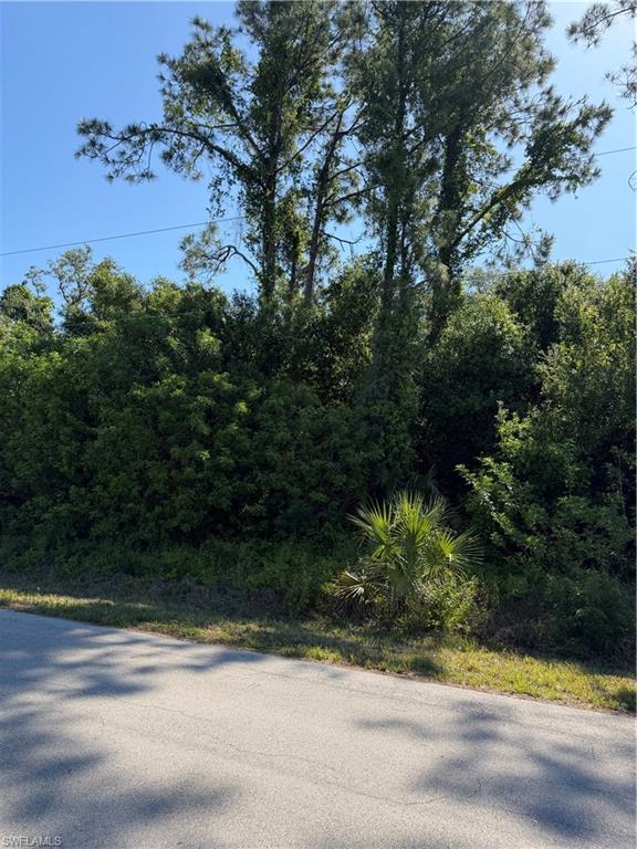 904 Sheldon Ave Property Photo 7