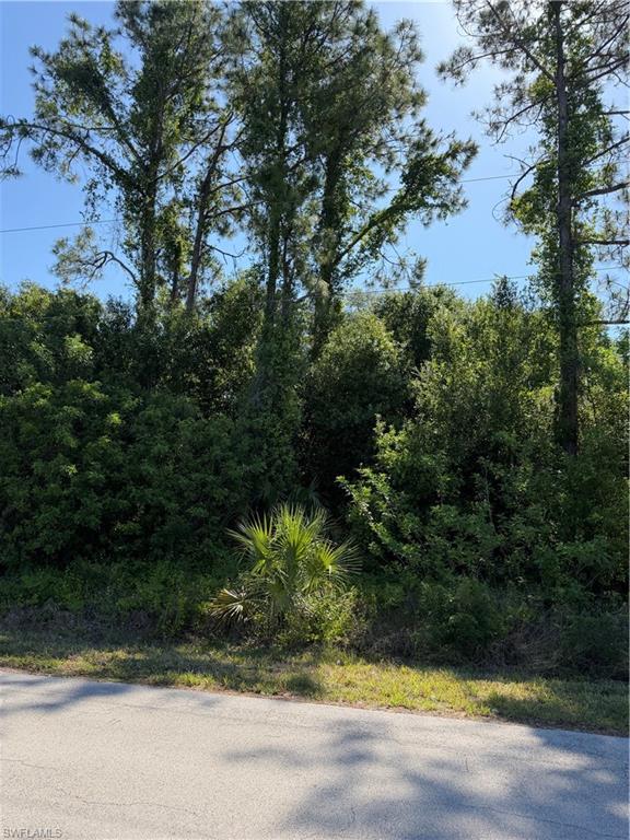 904 Sheldon Ave Property Photo 8
