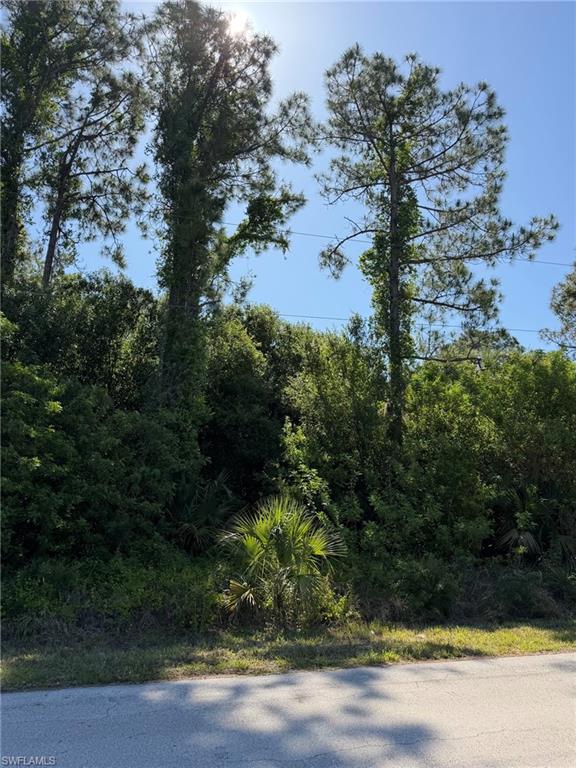 904 Sheldon Ave Property Photo 11