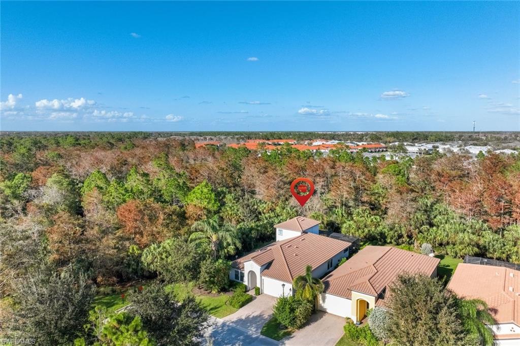 4167 Raffia Dr Property Photo 26